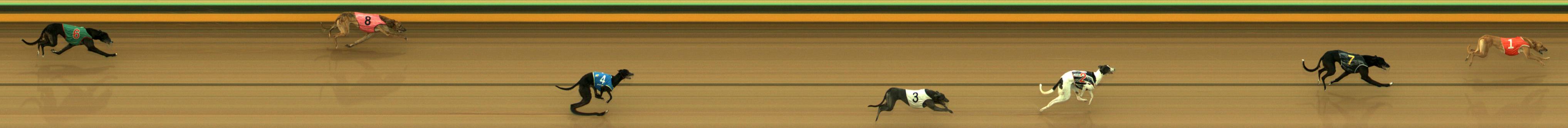 Race result finish photo